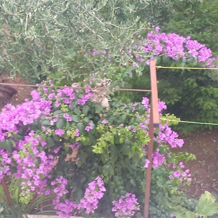 Apartmani A1 Marina, Okrug Gornji Trogir Dış mekan fotoğraf