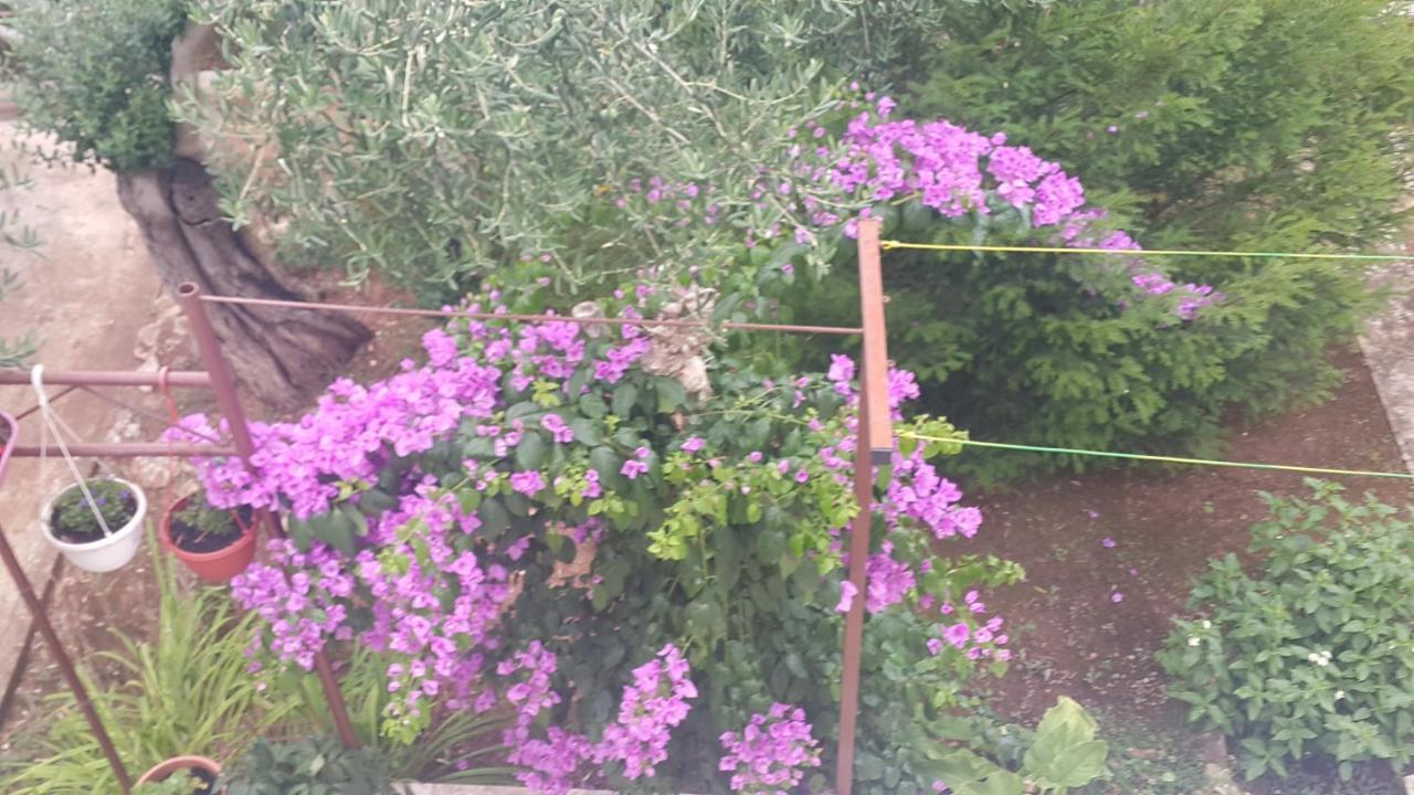 Apartmani A1 Marina, Okrug Gornji Trogir Dış mekan fotoğraf